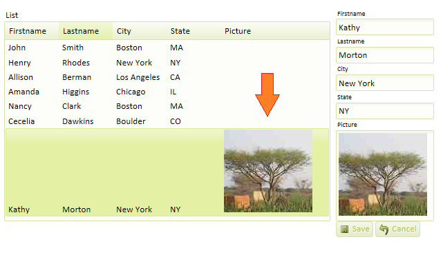 An image captured in a form view (right) and saved into a list control (red arrow)